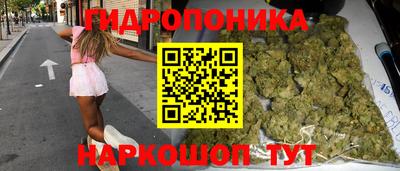 скорость Заводоуковск