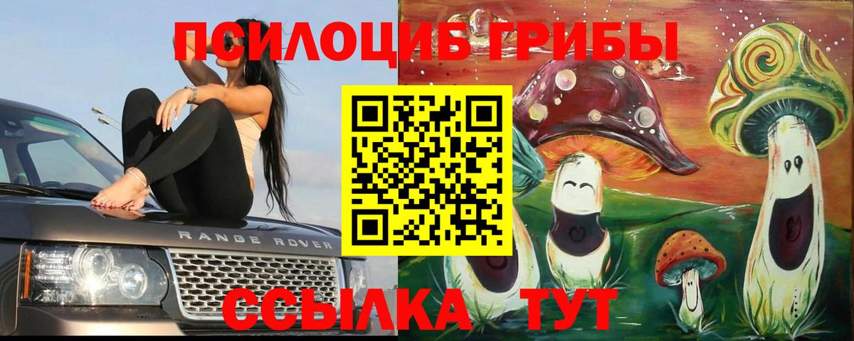 Дедовск  купить закладку  Вход с VPN  Псилоцибиновые грибы прущие грибы 